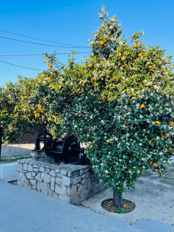 Citrus Garden Βίλα Epidaurus Εξωτερικό φωτογραφία