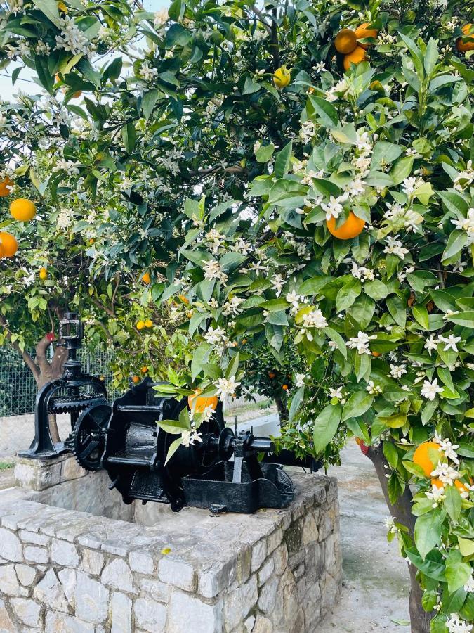 Citrus Garden Βίλα Epidaurus Εξωτερικό φωτογραφία