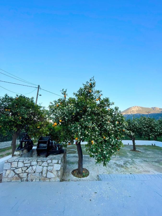 Citrus Garden Βίλα Epidaurus Εξωτερικό φωτογραφία