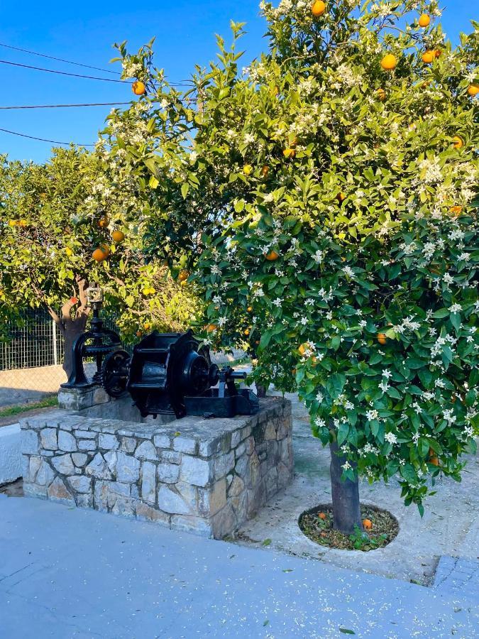 Citrus Garden Βίλα Epidaurus Εξωτερικό φωτογραφία