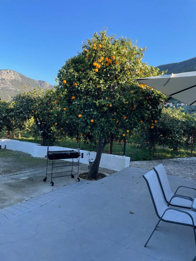 Citrus Garden Βίλα Epidaurus Εξωτερικό φωτογραφία
